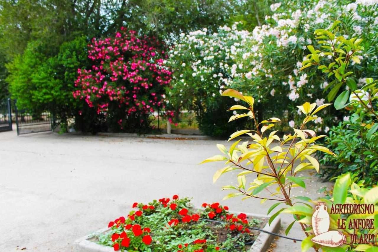 Le Anfore Di Arpi Foggia Rom bilde